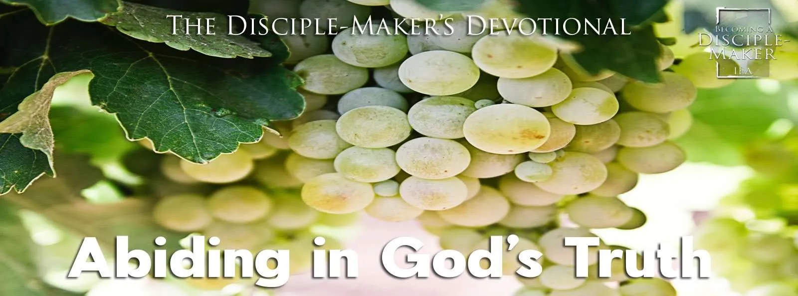 IEA FBNotes Devo 23 Abiding in Truth • Becoming a Disciple-Maker