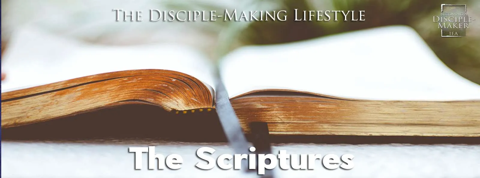IEA Devo 2022 Scriptures • Becoming a Disciple-Maker