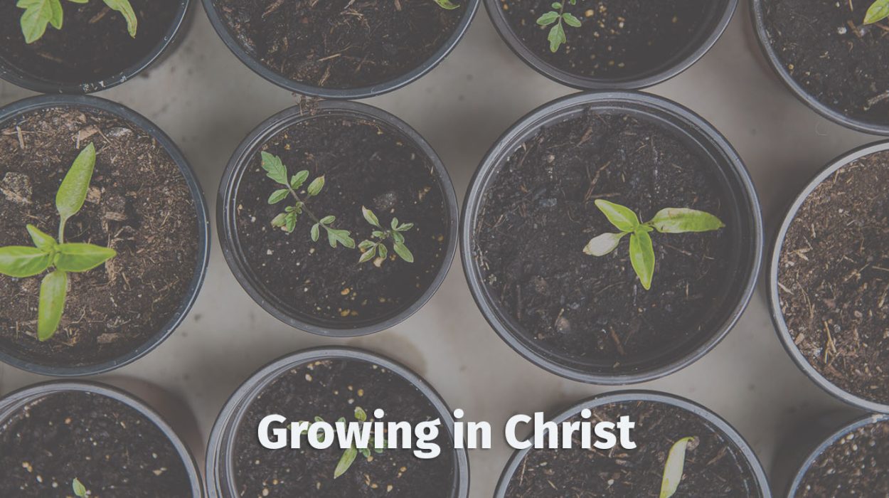 Growing in Christ • Becoming a Disciple-Maker