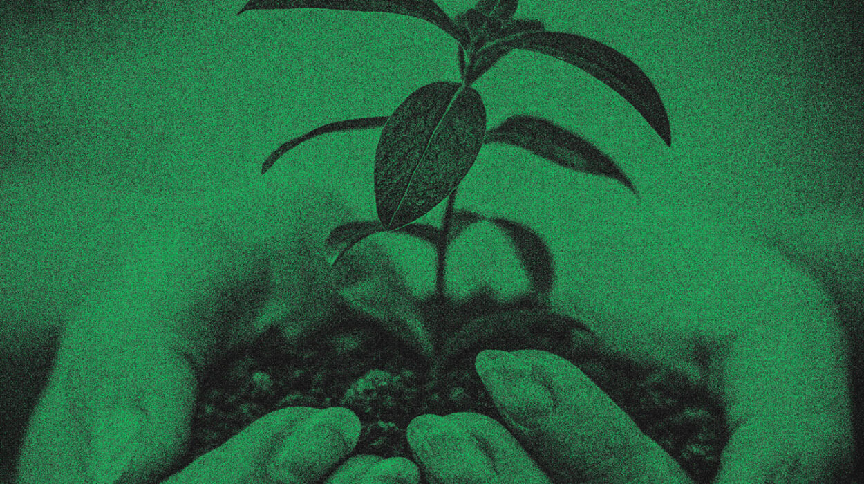 how help new believers grow • Becoming a Disciple-Maker